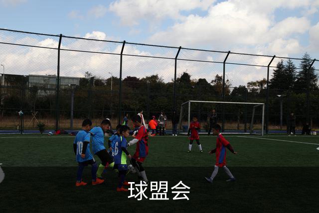 球盟会团队与办公环境